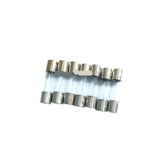 Fusible de vidrio 5x20mm para reparar electrodomésticos de cocina 10A