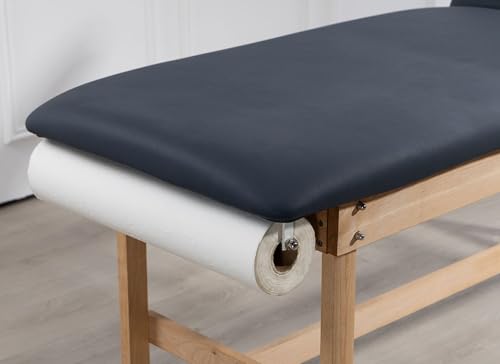 Carenovo 27.5\" Adjustable backrest Medical Treatment exam Table for Spa Clinic Hospital (Blue)