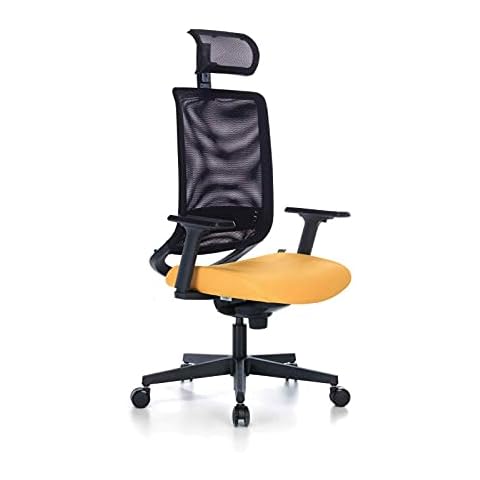 INGODI Bürosit Reflex 9 - Silla de oficina ejecutiva de cabeza alta, soporte lumbar ajustable con reposabrazos y patas de plástico Cover
