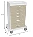 TrippNT 51078 Polyethylene Procedure Cart, Locking, 31