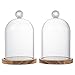 MyGift Mini Clear Glass Bell Display Cloches with Premium Acacia Solid Wood Base, Decorative Dome Cover Stands for Small Heirloom Jewelry Curios Keepsakes, Set of 2