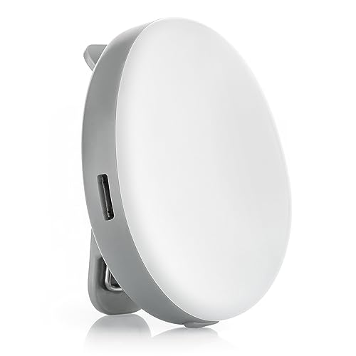 Reer 52361 ClipLight LED-Still-Licht mit Clip, 2 Helligkeitsstufen, 15 Minuten Timer, Kunststoff , Grau