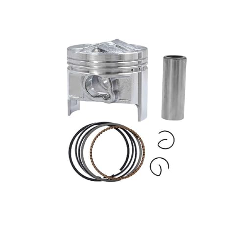 I[goCANZT[ sXgO tLbg GSX250R GJ72A GJ73A GJ74A GSF250p(Piston Kit 49.25mm)