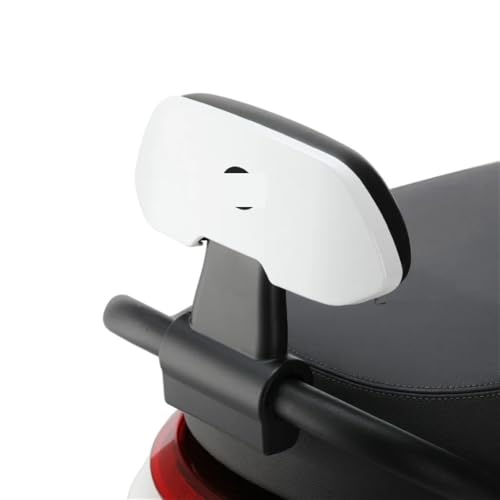 Dossier passager scooter pour e-moped Segway E80C E90 E100 E125 E200P