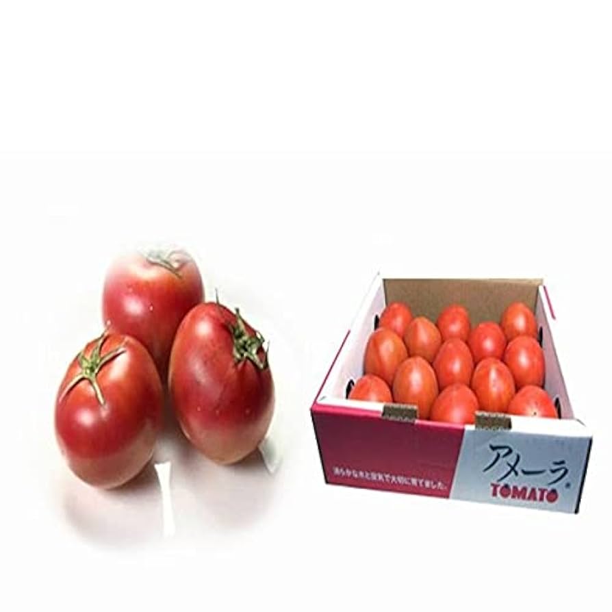トマト　アメーラ　約1kg x 6   高糖度フルーツトマト 送料無料】高糖度フルーツトマト アメーラ 【1ケースあたり10