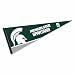 Michigan State Pennant Full Size Felt