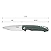 GANZO Firebird FH21 Green 60HRC D2 blade G10