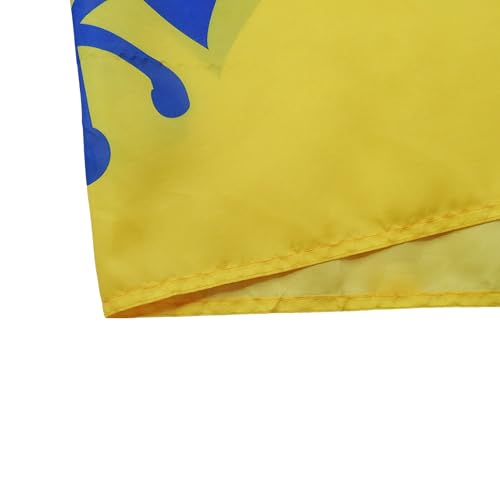 Image of AZ FLAG Sikh religion Flag 3' x 5' for a pole - Sikhism flags 90 x 150 cm - Banner 3x5 ft with hole