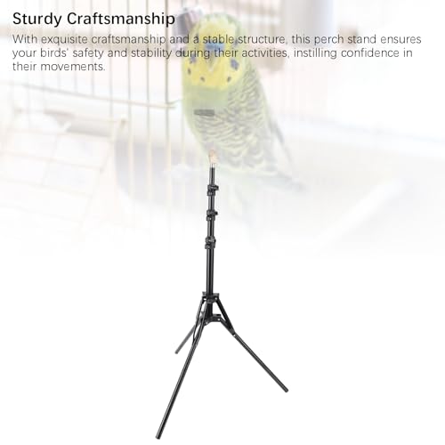 Bird Training Poleiro Stand Bird Play Stand Sturdy 61.81in Multifunções Pepper Wood Parrot Poleiro S