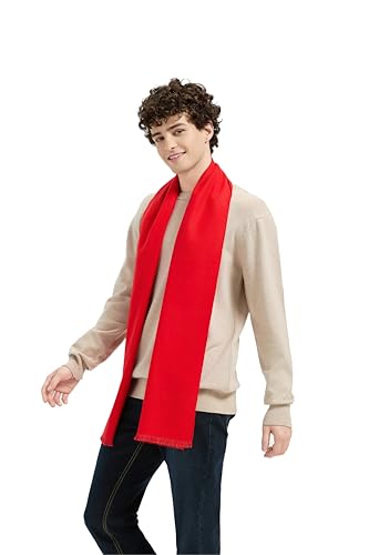 TASTION Winter Scarf For Men Ultra-Soft Warm Long Cashmere Feel Scarves (Red)