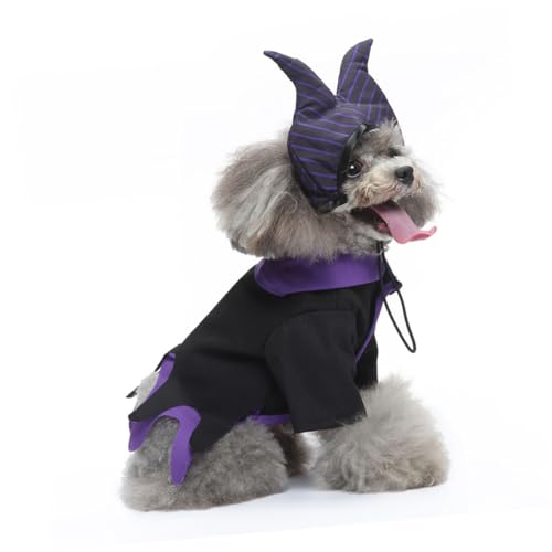 Disfraz de Bruja para Perro XL Homoyoyo Halloween miniatura 3
