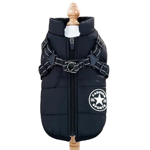 ~g˖hR[gViEU[pn[lXWbp[tČuhbOr[OefB,,S