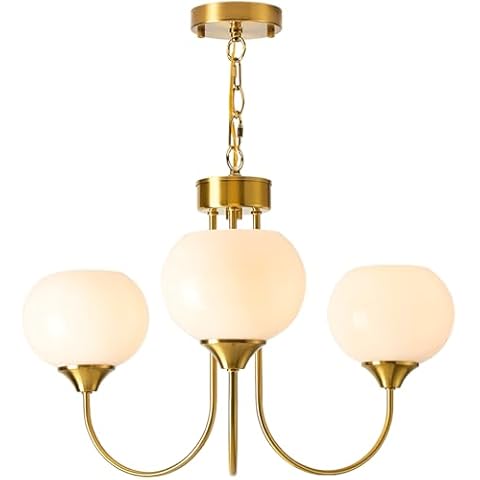 FEAZAC Modern Globe Chandelier Cover