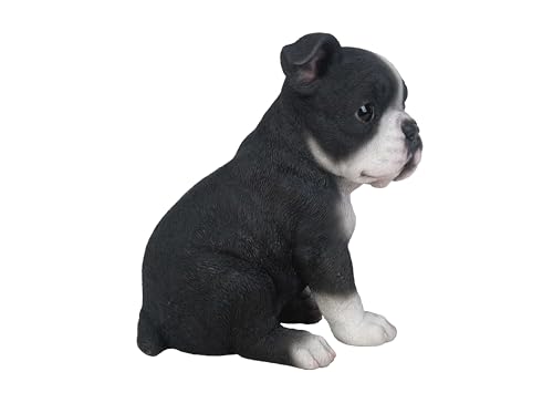 Hi-Line Gift Ltd Sitzender Boston Terrier Welpen-Statue