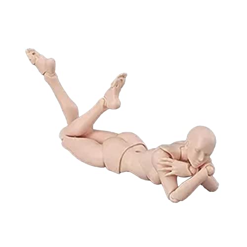HEEPDD Drawing Model Figure, PVC Jointed Mannequin, Female Woman Action Figure with Poseable Joints, Display Base, Art Reference