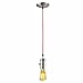 Globe Electric 1-Light Vintage Edison Mini Pendant, Red Designer Woven Fabric Cord, Brushed Steel Finish, 64755
