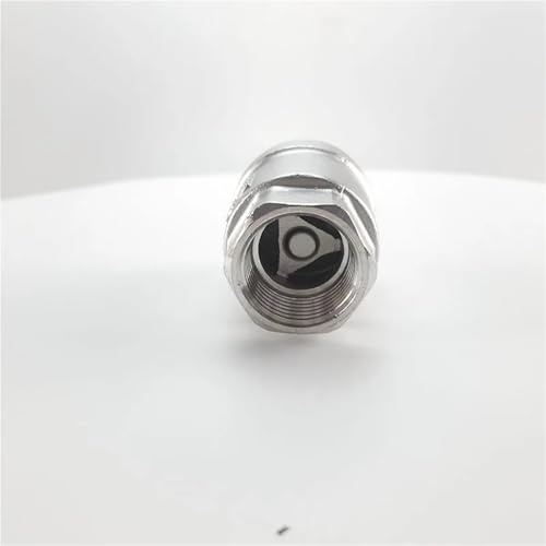Válvula de retención DN20 BSPT vertical en acero inoxidable SS304 con resorte de elevación 4