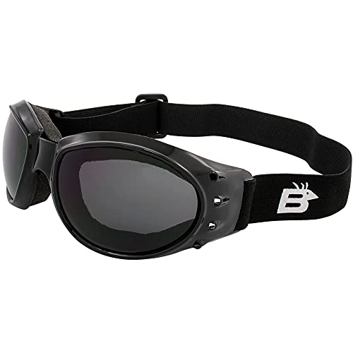 Birdz Eyewear Eagle Motorcycle Goggles