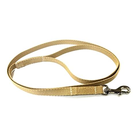 Dog Training Lead Small Dog Puppy Leash Tracking Recall Obedience Strong 13mm Webbing (Beige, 76 Inches) Cover