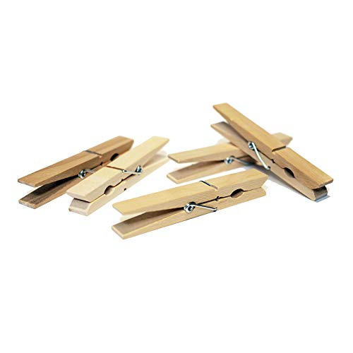  EbhNbv 10cm 24{ o[` (i`)