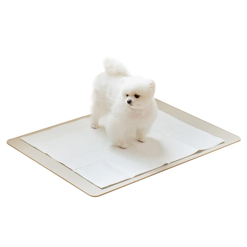 GUCCI　インテリア　マット　フィーディング　マット　犬用品 GUCCI グッチ フィーディングマット ペット用