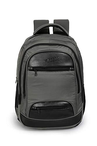 F Gear Perry V2 33 Ltrs Grey Laptop Backpack (3176)
