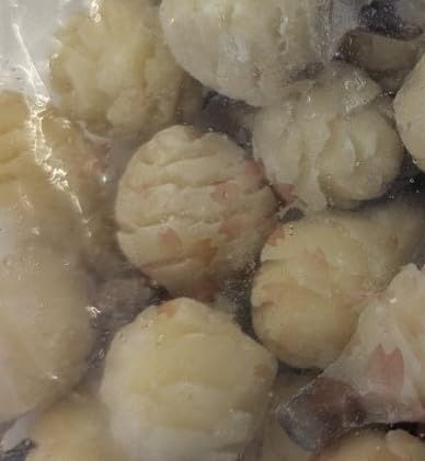 yƖpzⓀ 킢} M 700gi50j Y