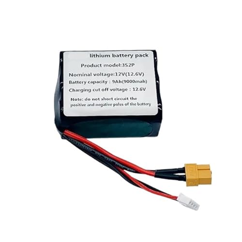 Batteria Da 12 V 9 Ah Agli Ioni Di Litio, Utilizza Una Combinazione Di Celle...