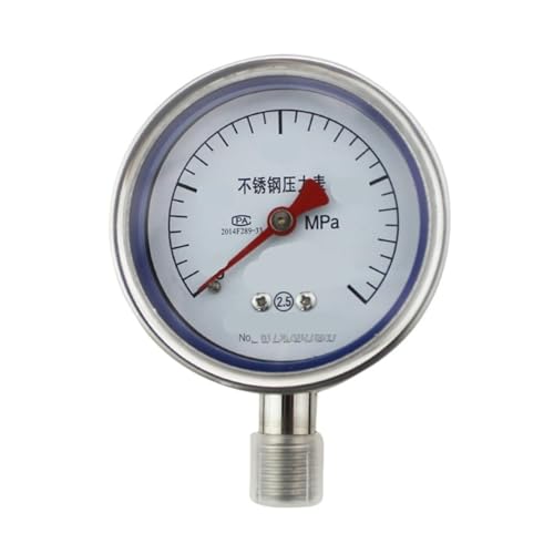 Manomètre en acier inoxydable anti-corrosion Y-60BF 1.0 MPA pour contrôle pression vapeur
