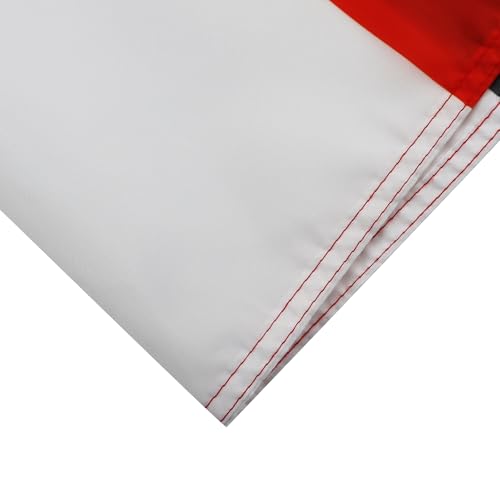 AZ FLAG - Egypt Flag - 2x3 Ft - 100D Polyester Egyptian Banner with Two Metal Grommets - Fade Resistant - Vivid Colors - 2' x 3' Feet - 90x60 Cm