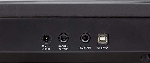 Roland GO-88P GO:PIANO88 の商品画像 10