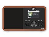 Radio DR25 Rec Dab+, FM, Internet, grabadora Digital, Bluetooth 5.1, WiFi con Pantalla TFT a Color de 2,4
