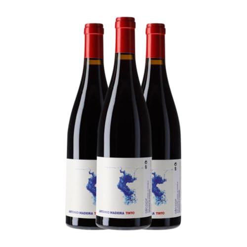 Antonio Madeira Dão 75 cl Vino tinto (Caja de 3 Botellas de 75 cl)