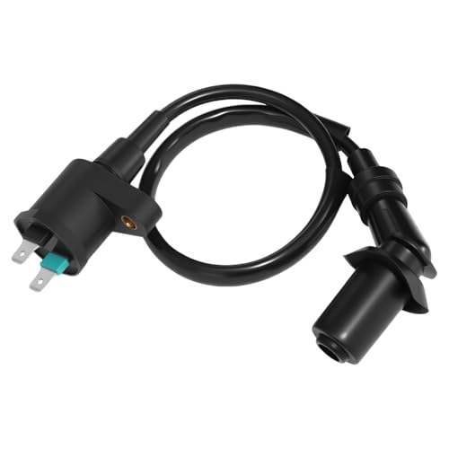 Bobina Encendido, Bobina de Encendido para Motocicleta, Bobina de Encendido Scooter de Repuesto, Ignition Coil para la Mayoría de GY6 50CC 125CC 150CC ATV Scooter Ciclomotor Go-kart