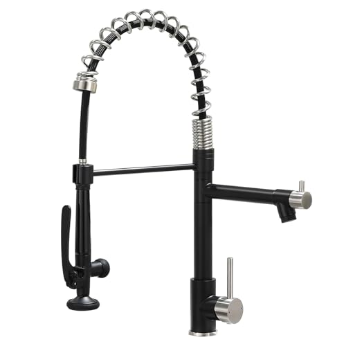 Image of Fapully Pull Down Kitchen Faucet with Sprayer Commercial