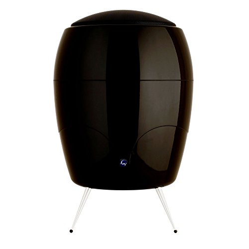 MK2 Caisson de basses noir au design épuré et acoustique précise