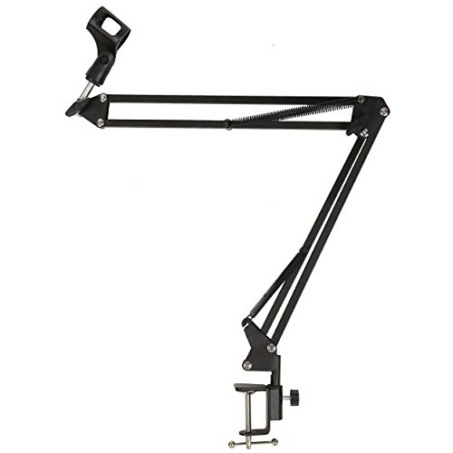 Juarez Mic Boom Arm