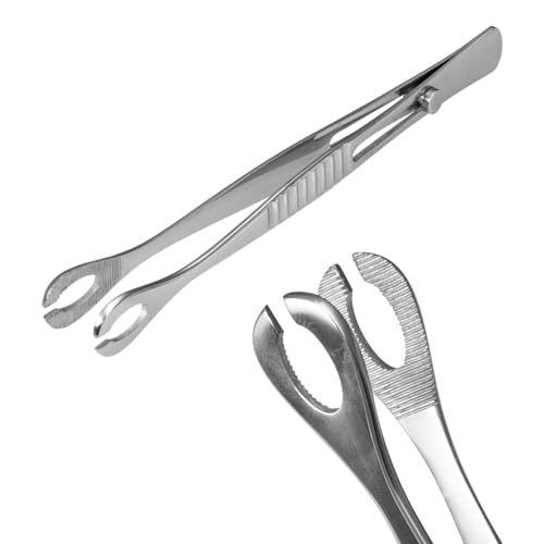 sZbgsAXNv @Zv^sAXLbg ׂẴsAXp 316L XeXX`[ XbgbN C[bv @  ւ  {fBsAXLbg