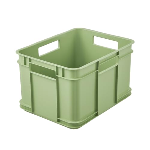 Caja de almacenamiento EURO-BOX, colección Bruno ECO, tamaño M, 35x27x22, ECO Verde