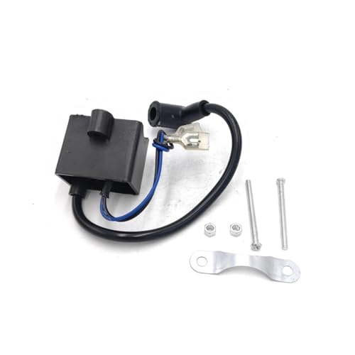 [^[t]ԗpCOjbVRC 50cc 60cc 80ccGWɓK