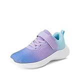 DREAM PAIRS Boys Girls Shoes Kids Tennis EZ-Ons FunRun Breathable Running Athletic Sport Sneakers,Size 13 Little Kid,Purple/Blue,KRIDER-1