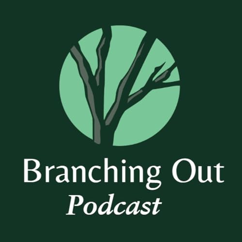 『Branching Out: TreeFork Strategies』のカバーアート