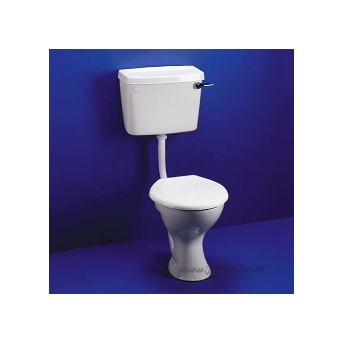 Buy Comfort Height Rimless Low Level WC Toilet with Lever Flush Online