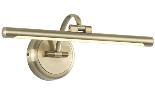 Tassuowell Antique Bronze Picture Light for Wall,Dimmable Painting Light,16 Inch Hardwired Picture Frame Lights,9W 3000K Warm White,Art Lighting Display Lamps,Rotatable Full Metal Gallery Light