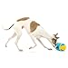 GURU Pet: Rock 'N Treat - Medium - Dog Toy, Treat Dispensing, 6
