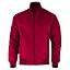 Maroon (No Trim)