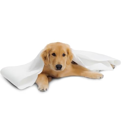 Toalha Descartável Multiuso Pet 45x80 Rolo com 100 unidades 70g/m² Resistente