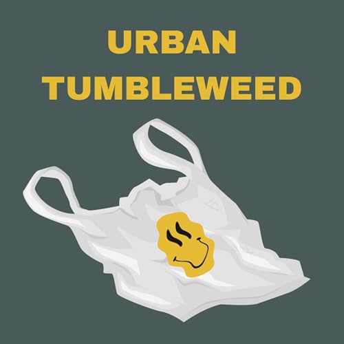 Navigating the New Administration