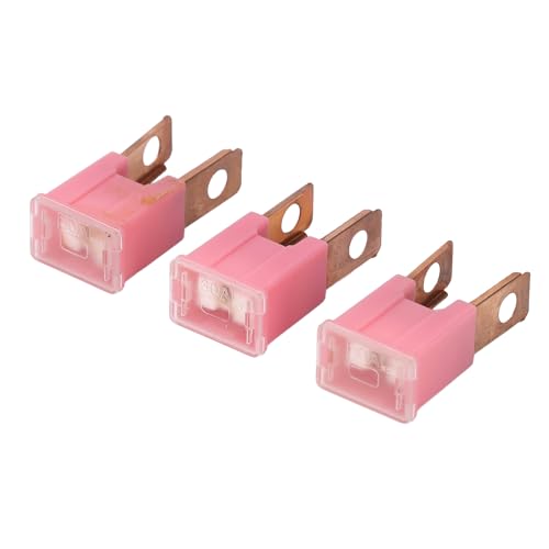 10Pcs Straight Male Terminal ABS Housing Brass Conductor Slow Fusing Replacement for Automotive 30A 32V