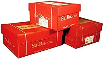 S01240116010 Carta a Modulo Continuo, 240 mm x 11", 60 G/Mq, Confezione 2000 Fogli